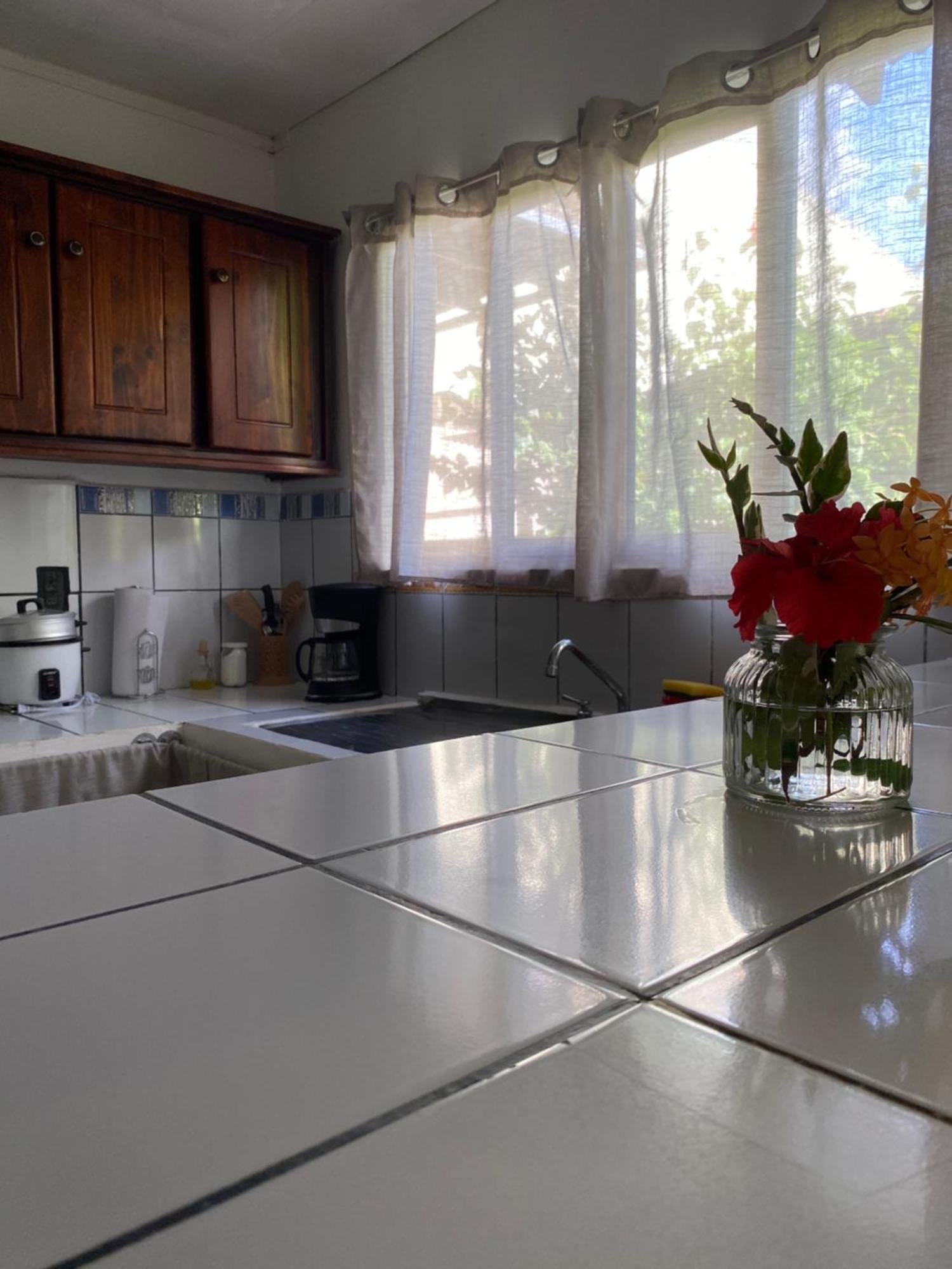 Anluka-House2 With Air Conditioning Puerto Jiménez Екстериор снимка